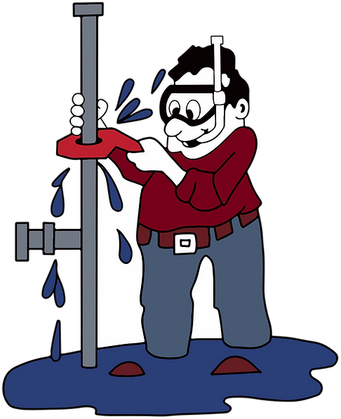 Official Plumbing Service Professional